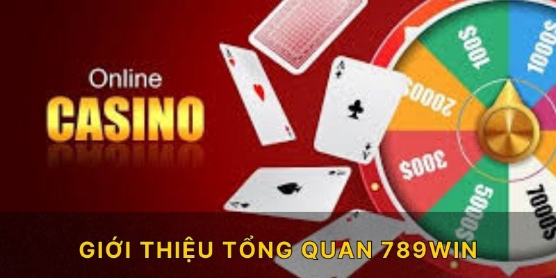 Giới Thiệu Tổng Quan 789win