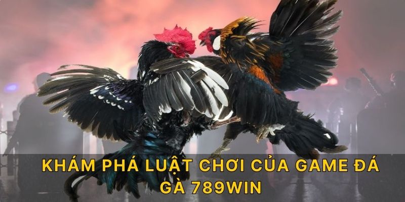 Khám phá luật chơi của game đá gà 789win